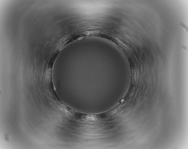 X0000095550475200712281610