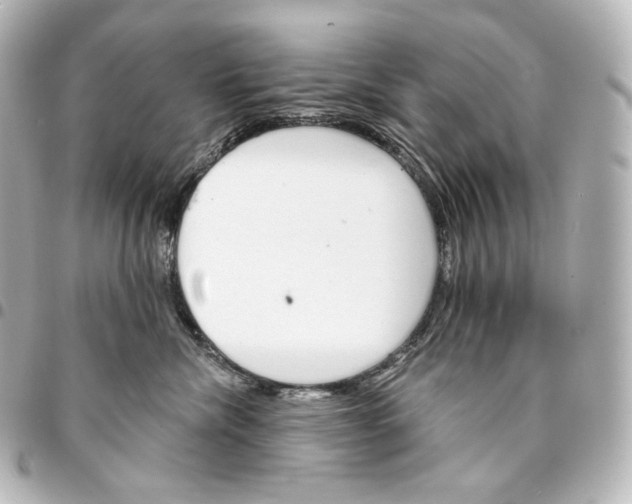 X0000095550476200712281610