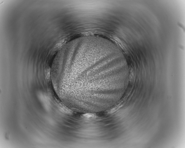 X0000095550477200712281610