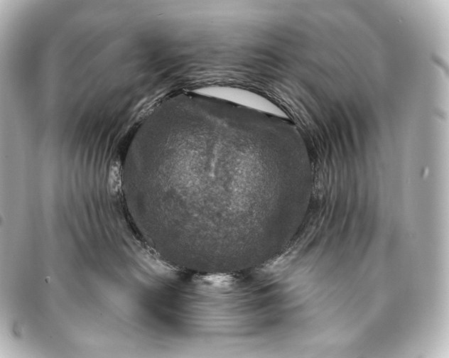 X0000095550478200712281610