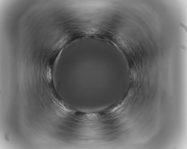 X0000095550479200712281610