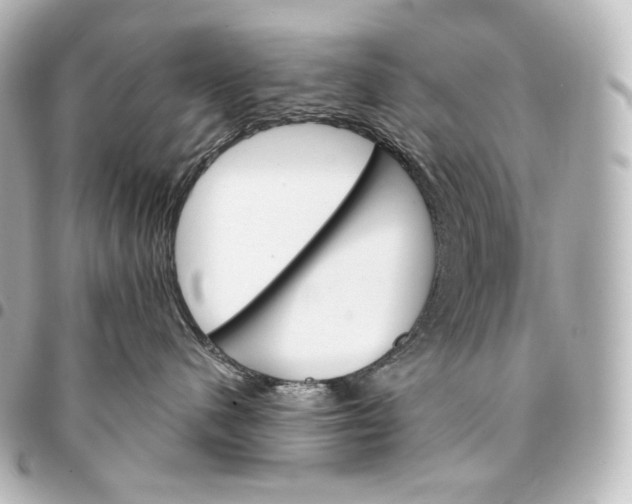 X0000095550480200712281610