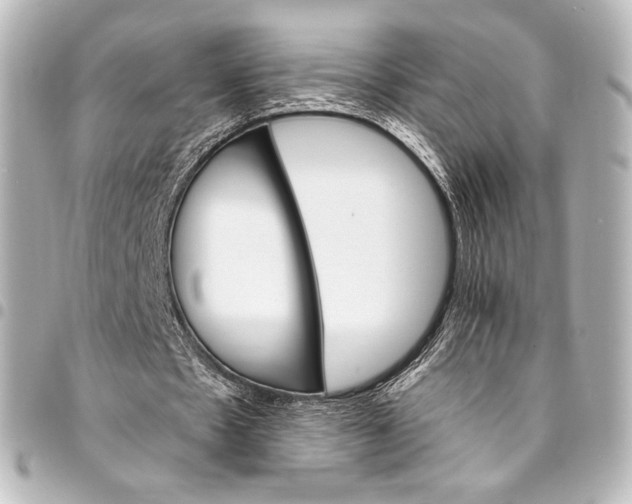 X0000095550481200712281609