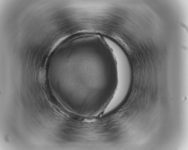 X0000095550484200712281609