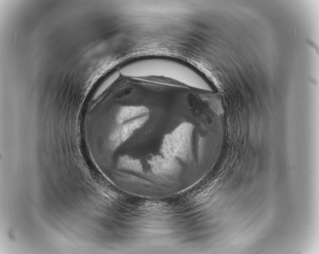 X0000095550487200712281609