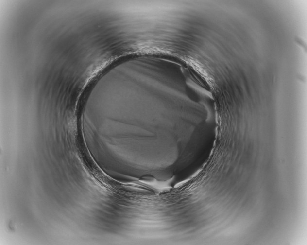 X0000095550488200712281609