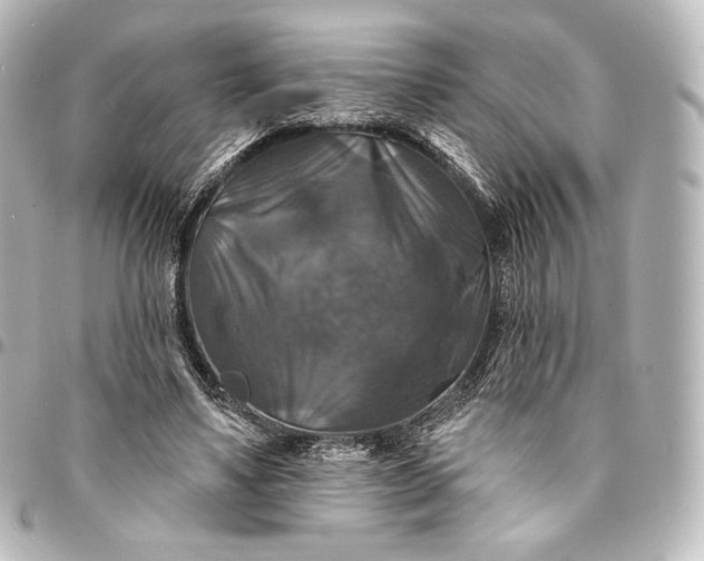 X0000095550491200712281609