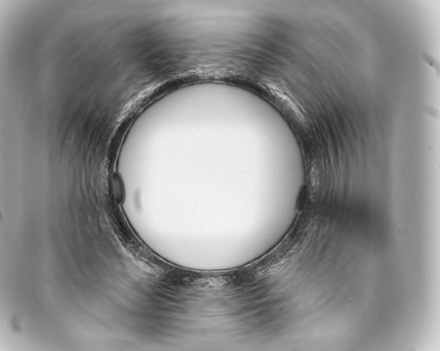 X0000095550492200712281609