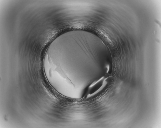 X0000095550496200712281609