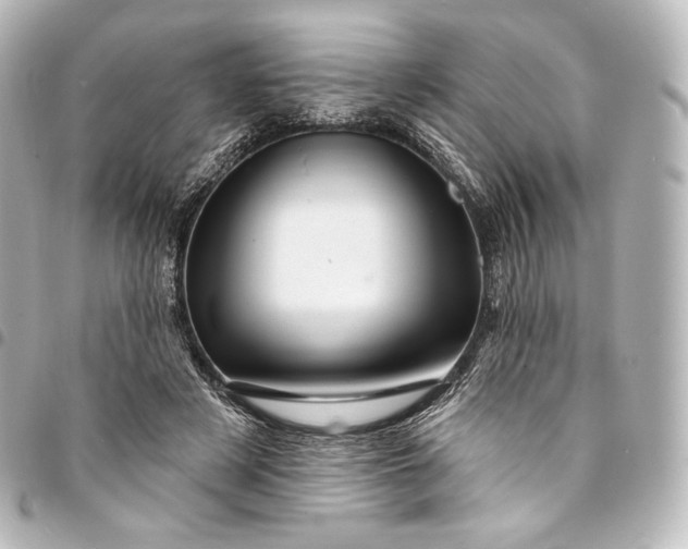 X0000095550497200712281609