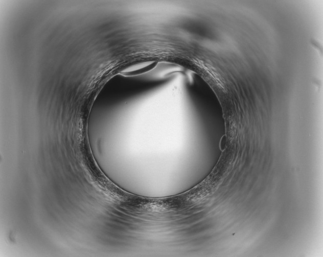 X0000095550498200712281609