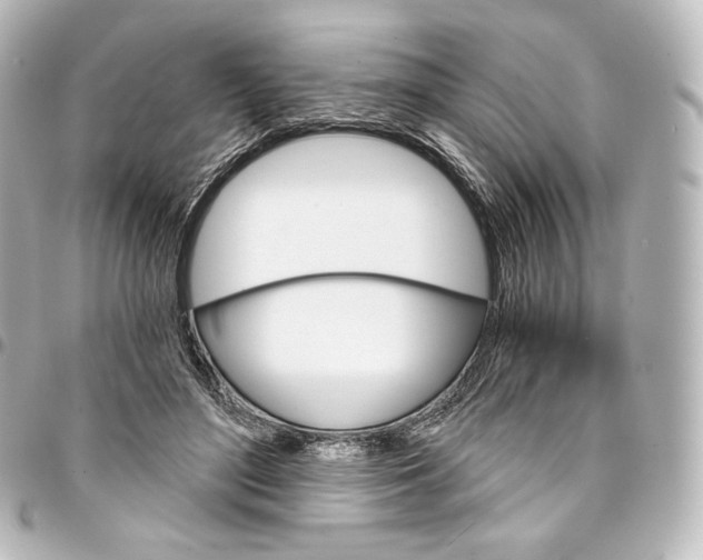 X0000095550500200712281609