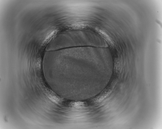 X0000095550501200712281609