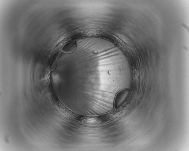 X0000095550507200712281609