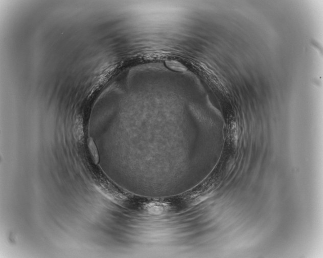 X0000095550508200712281609