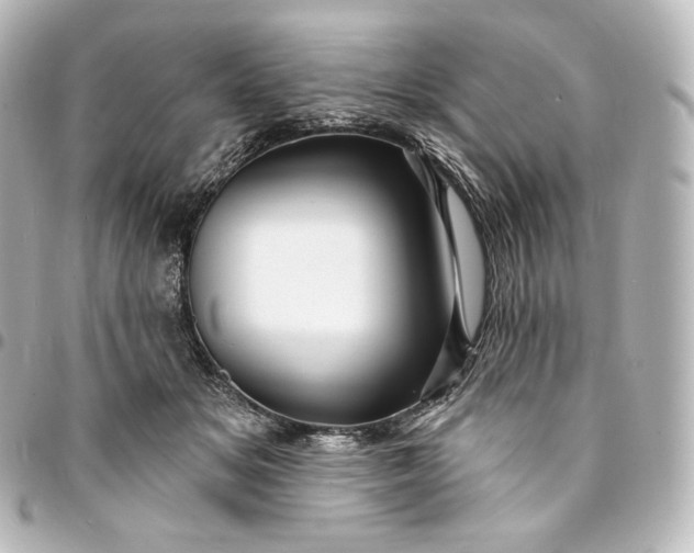 X0000095550509200712281609