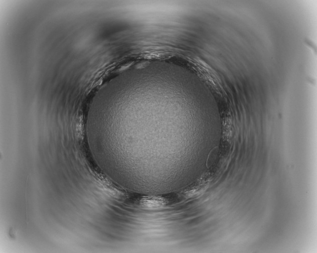 X0000095550510200712281609