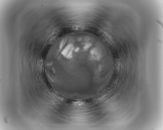 X0000095550511200712281609