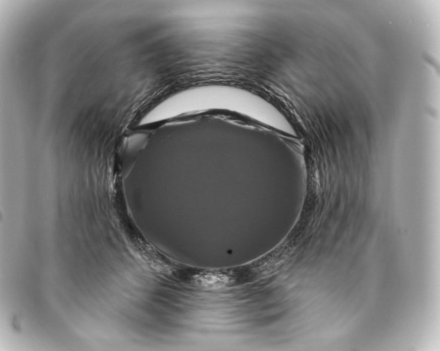 X0000095550512200712281609