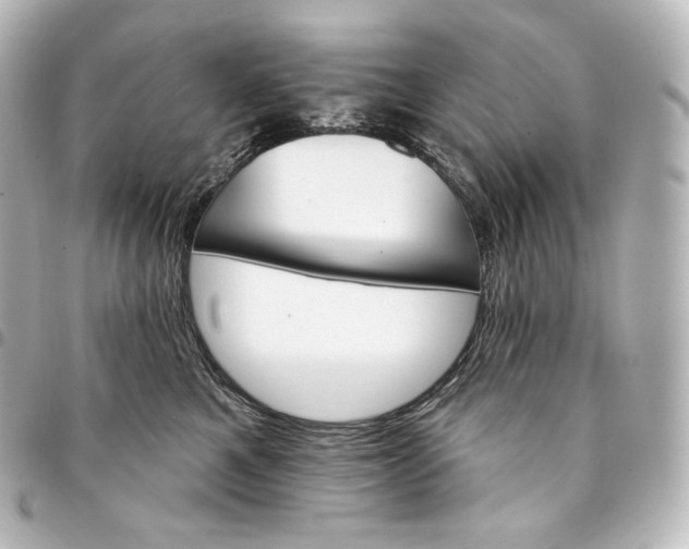 X0000095550521200712281609