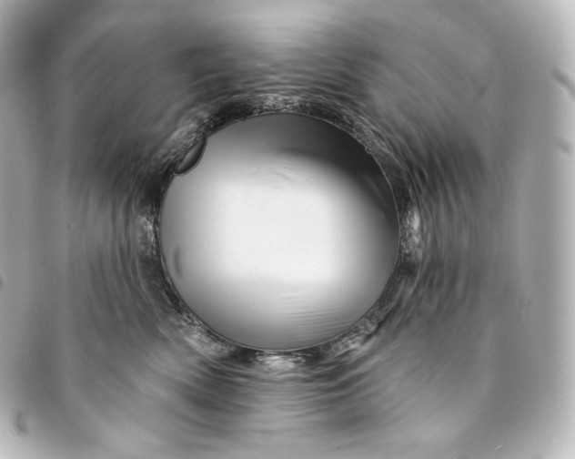 X0000095550522200712281609