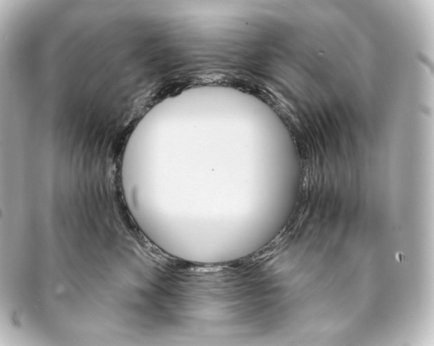 X0000095550524200712281609