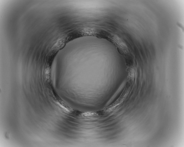 X0000095550526200712281609