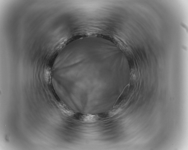 X0000095550527200712281609