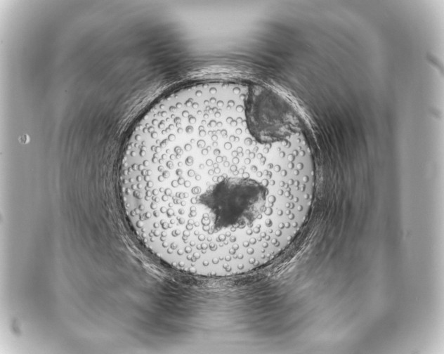 X0000095550529200712281608