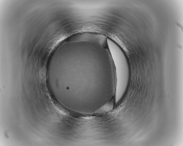 X0000095550530200712281608