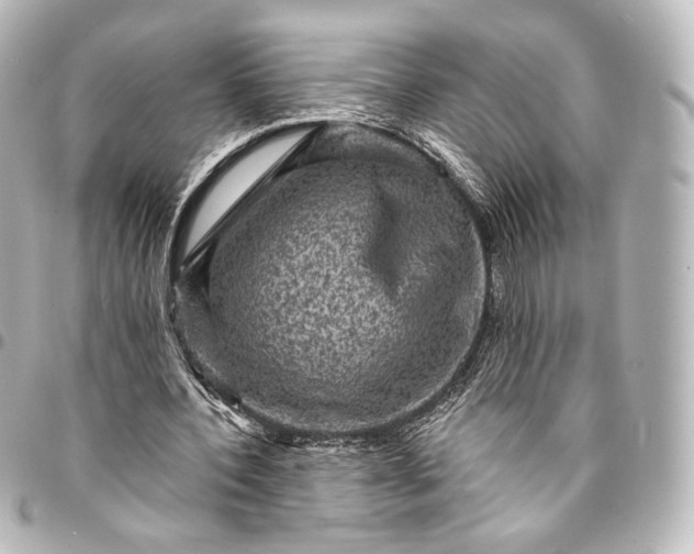 X0000095550532200712281608