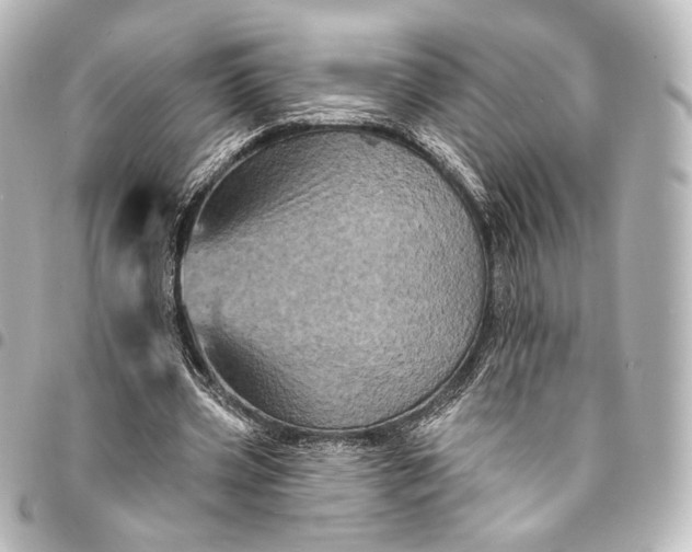 X0000095550533200712281608