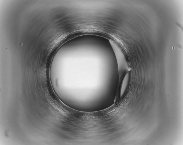 X0000095550535200712281608