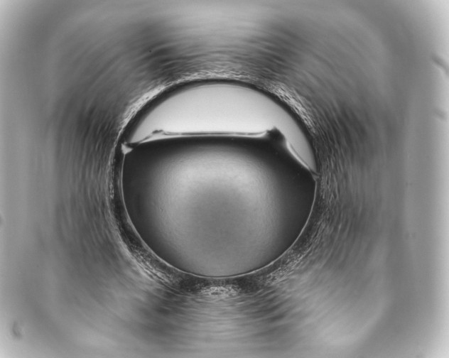 X0000095550536200712281608