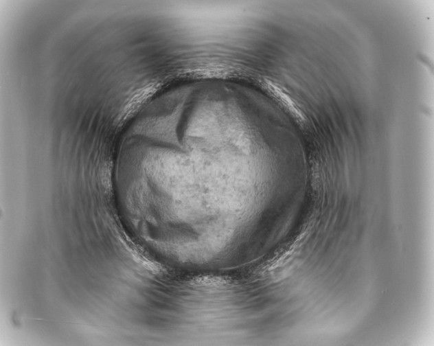 X0000095550537200712281608