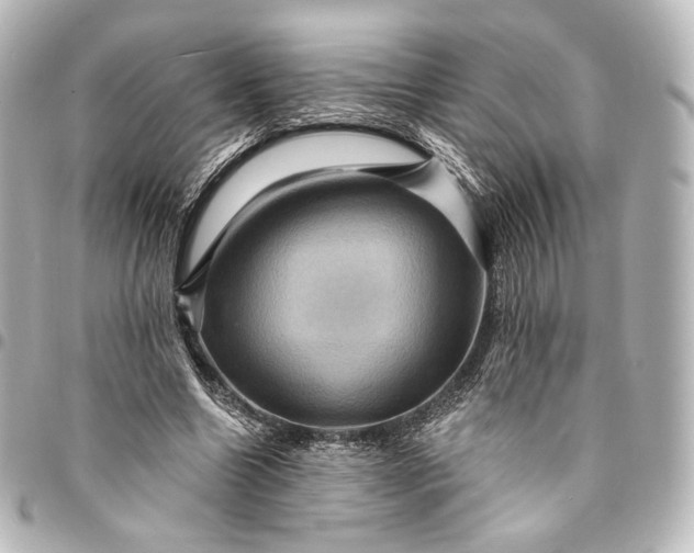 X0000095550538200712281608