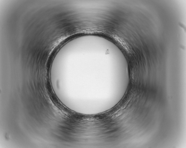 X0000095550540200712281608