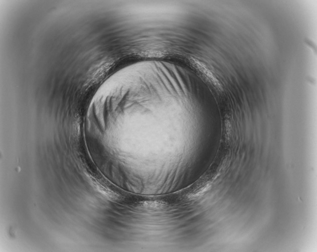 X0000095550541200712281608