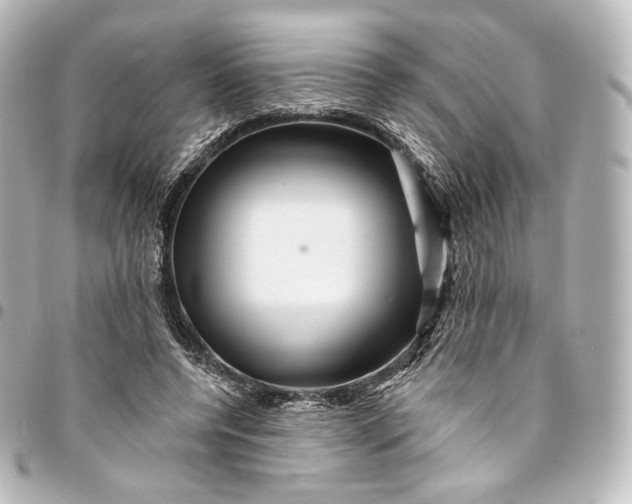 X0000095550544200712281608