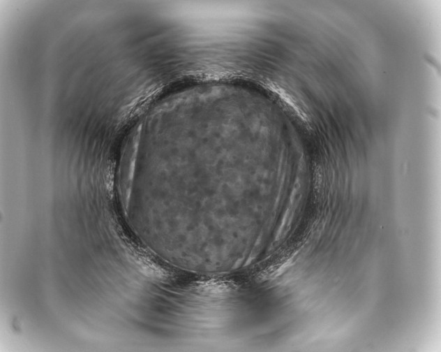 X0000095550545200712281608