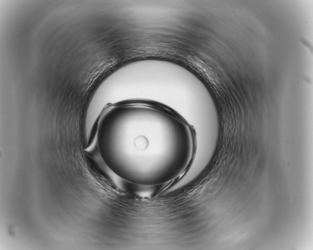 X0000095550546200712281608