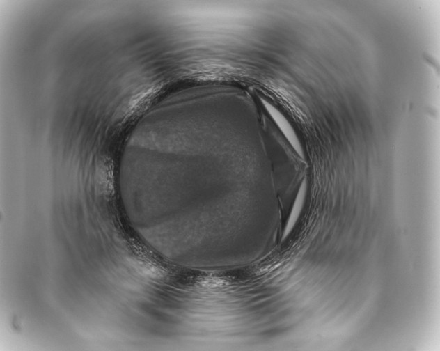 X0000095550547200712281608