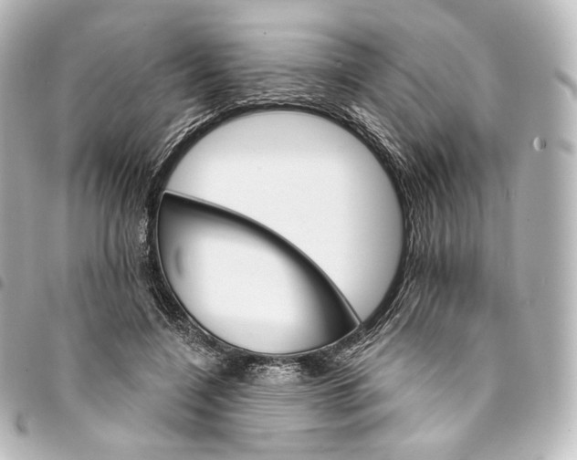 X0000095550548200712281608