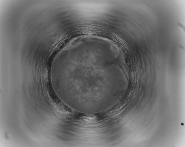 X0000095550552200712281608