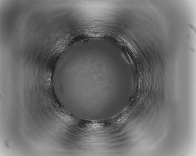 X0000095550553200712281608