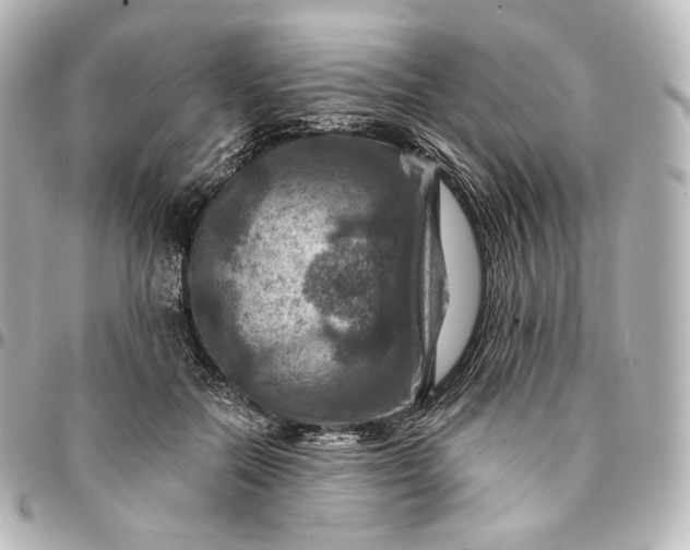 X0000095550554200712281608