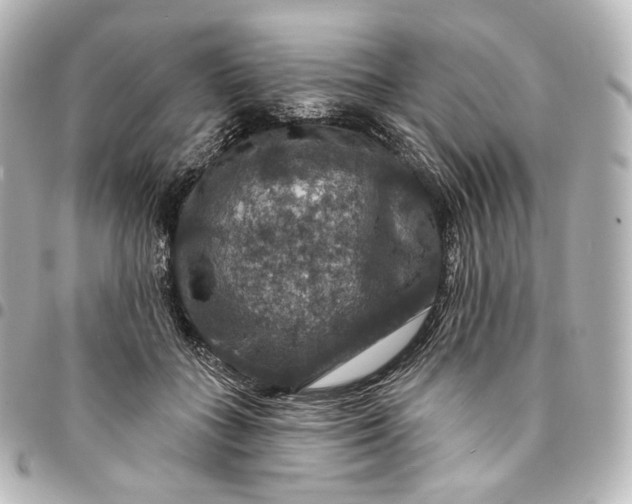 X0000095550555200712281608