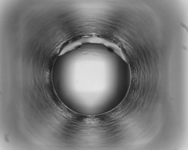 X0000095550556200712281608