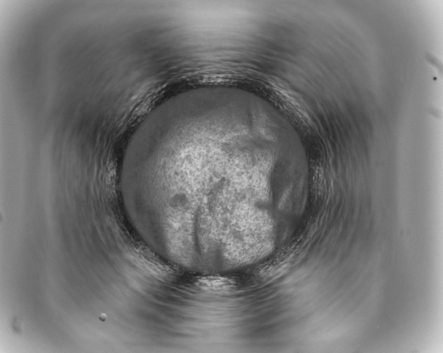 X0000095550557200712281608