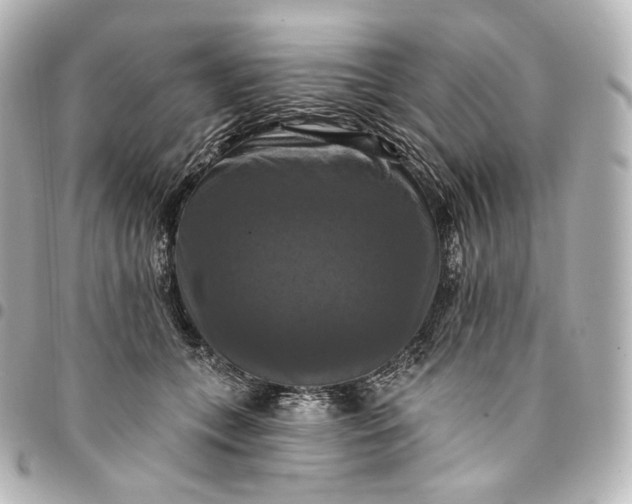 X0000095550559200712281608